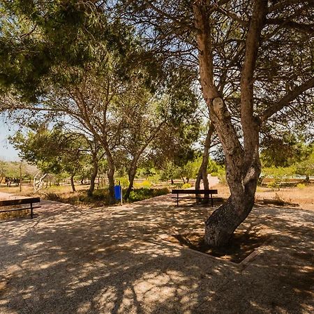 Carisma "Parque Mar" La Mata (Torrevieja) Exterior foto